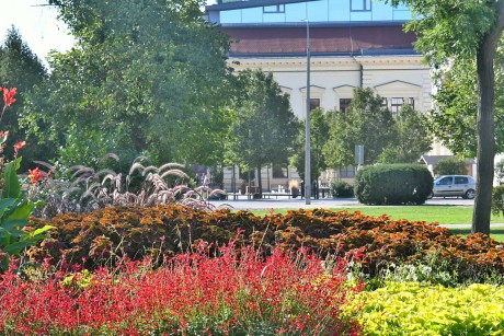Napsütéses őszi parkok csodás virágokkal Székesfehérváron